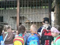 "ZOO Ostrava"